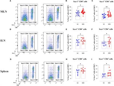 Oral administration of Manuka honey induces IFNγ-dependent resistance to tumor growth that correlates with beneficial modulation of gut microbiota composition